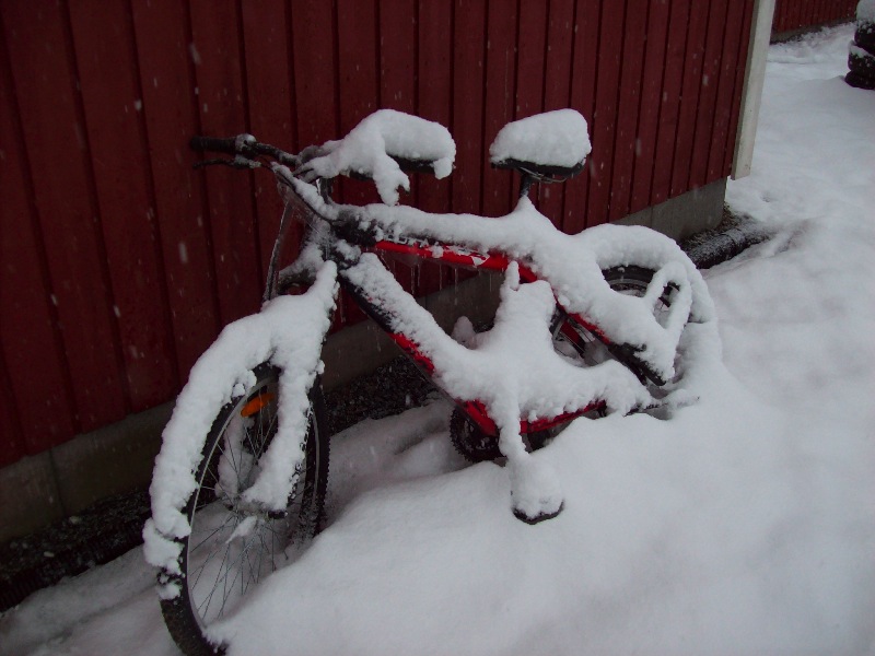Cykel med sn�