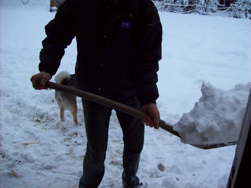 Sn�skottning