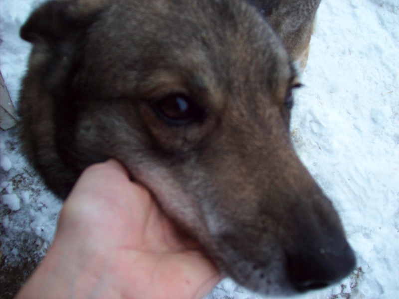 Close up