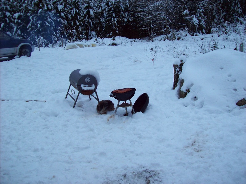 snö