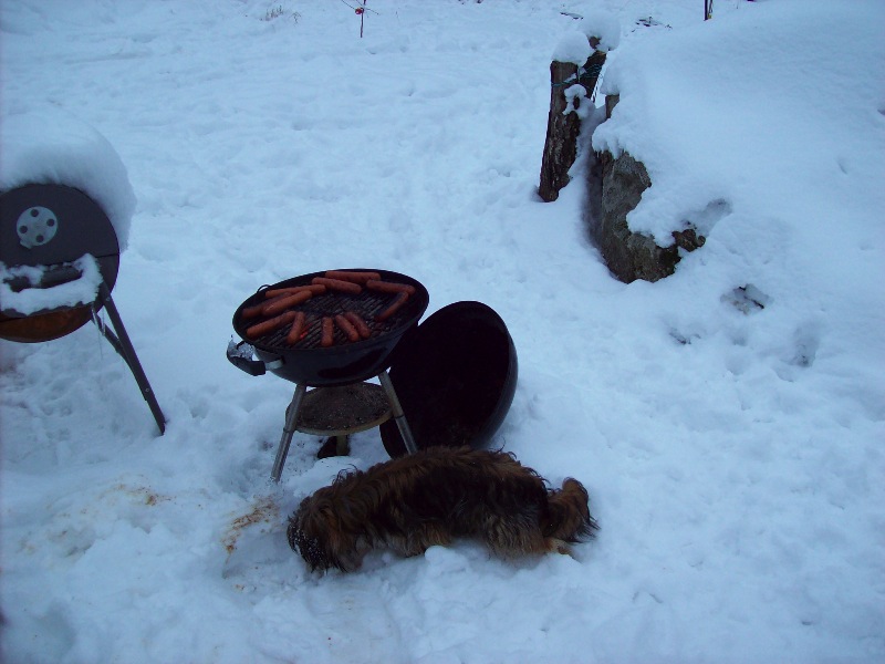 Korvgrillning