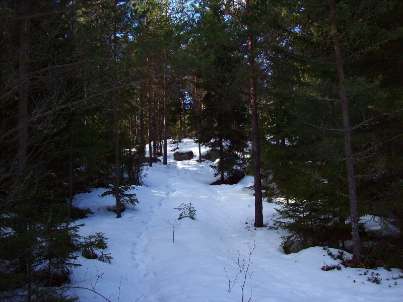 snö