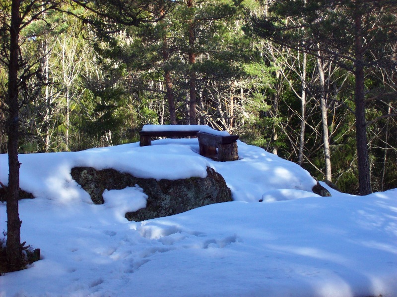 bänkar