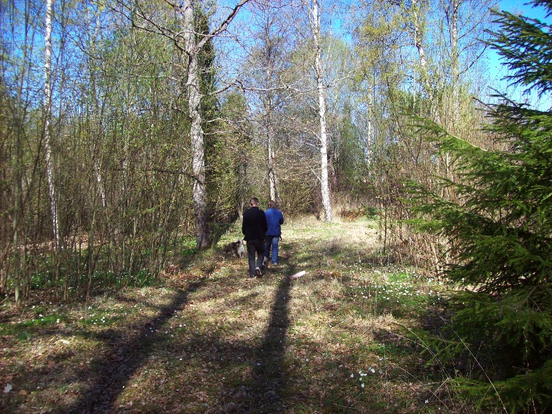 Promenad