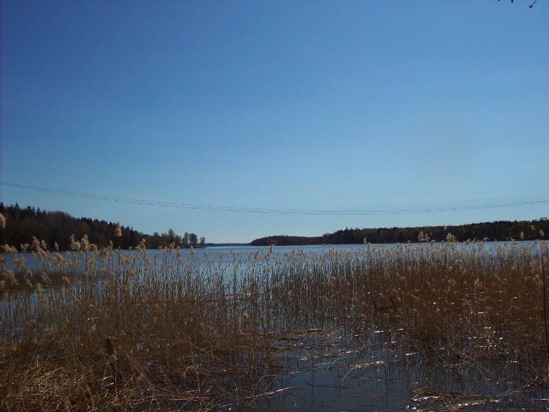 Bryggholmen