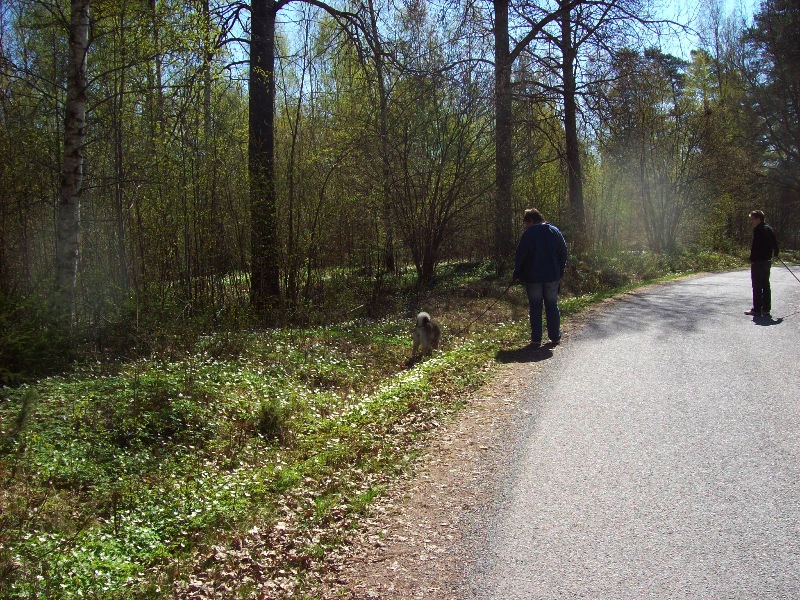 Väg