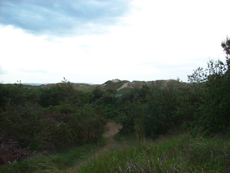 stranddyner