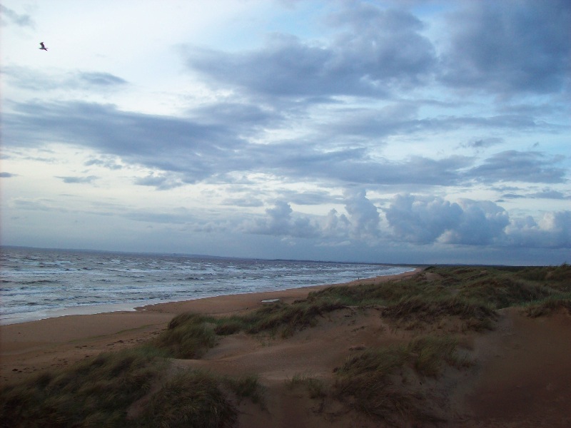 strand