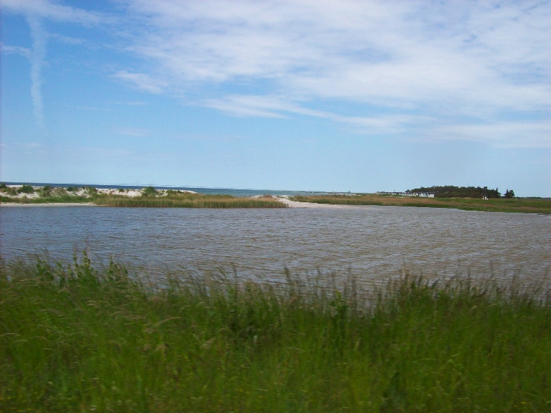 strand