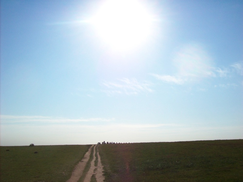 sol
