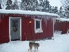 vinter