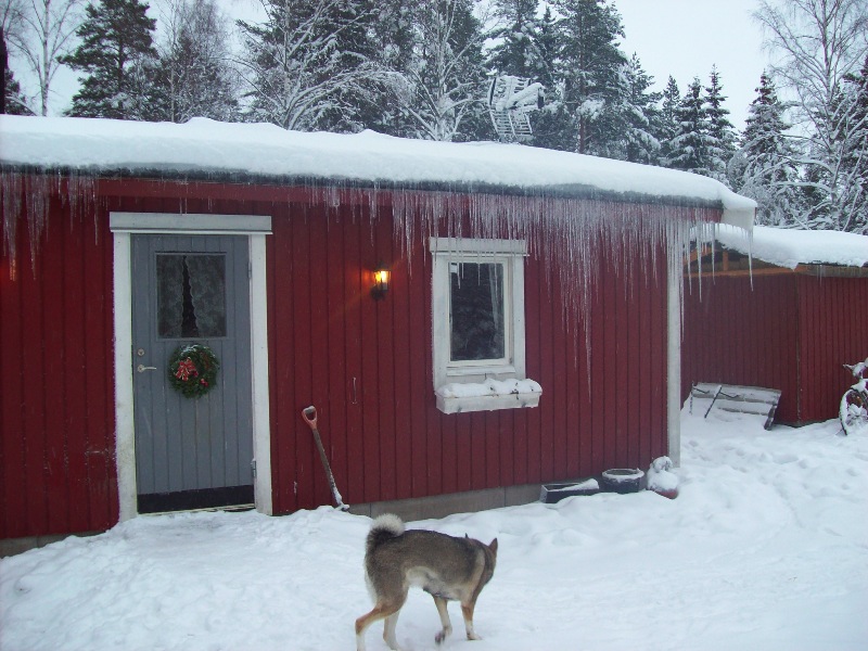 vinter