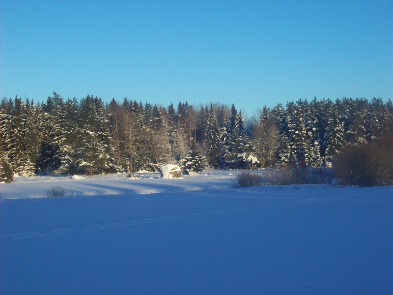 Vintervy