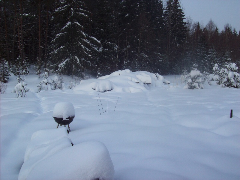 Snö