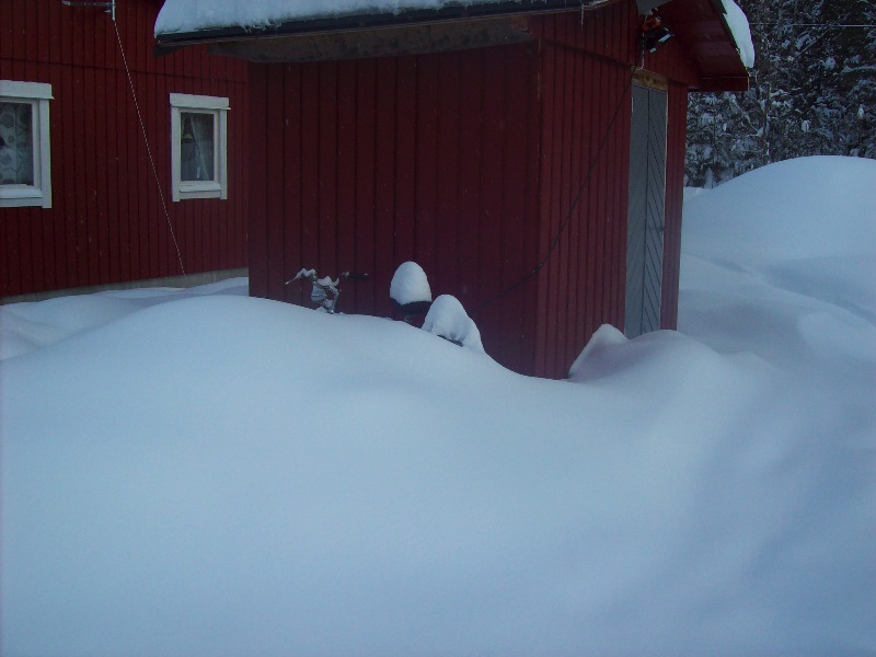 Snö