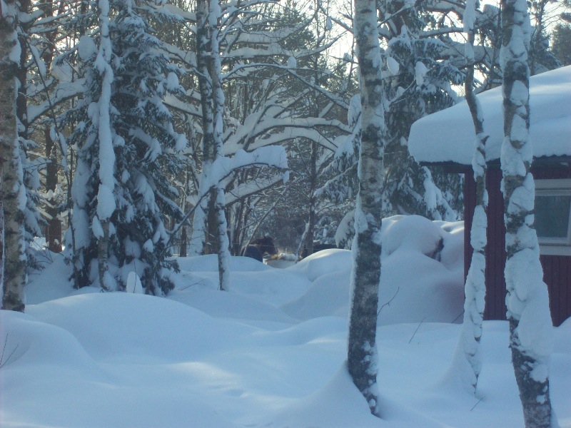 Snö