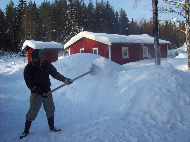 Snöflingor