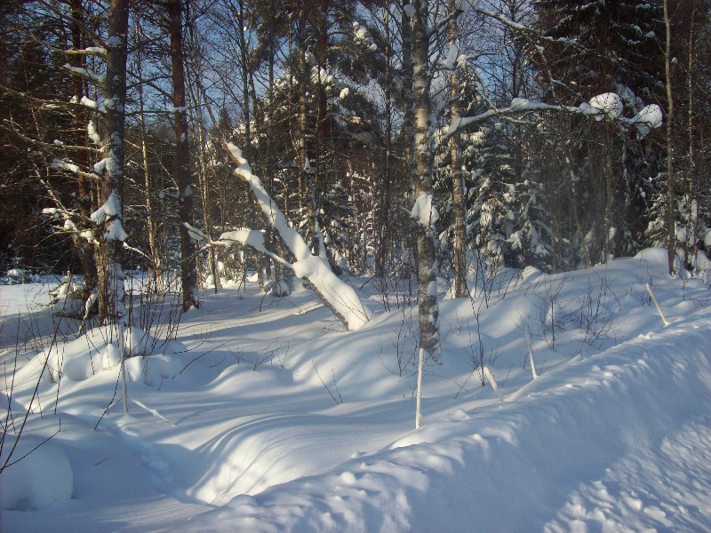 snö