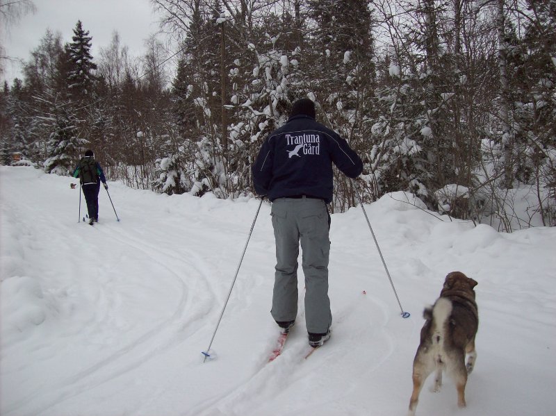 Skid�kning