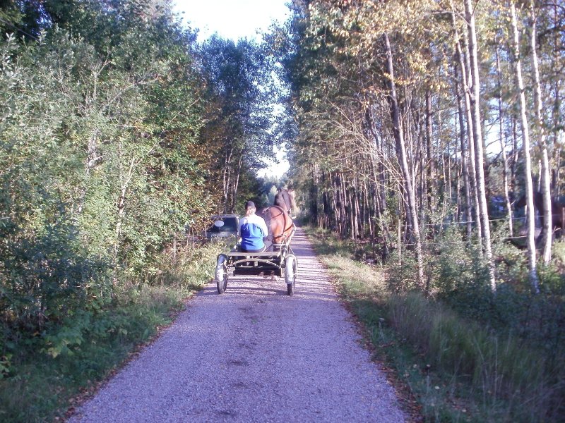 Linda och Brandon