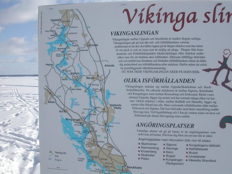 Vikingasp&aring;ret