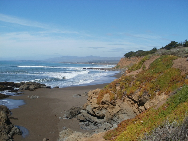 Kust