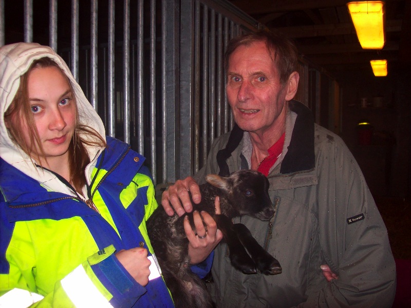 Bengt
