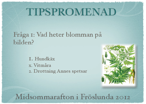 Tipspromenad i Fr�slunda