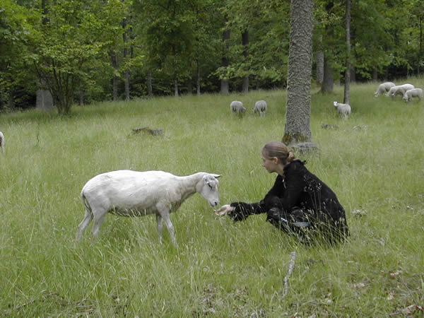 Linda med f&aring;r