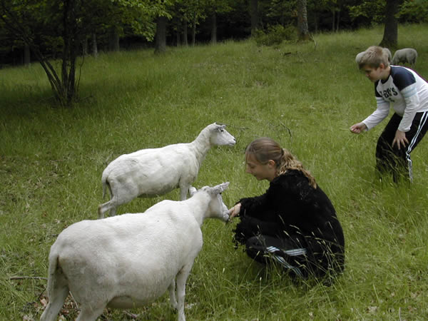 Linda och Fredrik med f&aring;r