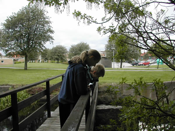 Linda och Fredrik vid Tidan