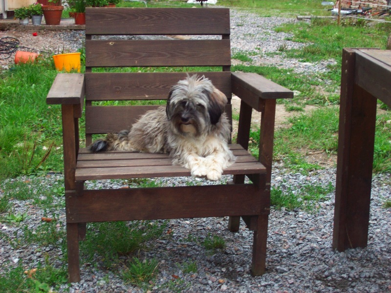 Victor