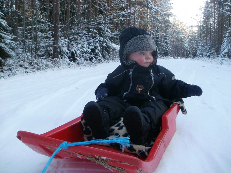 Hemma igen
