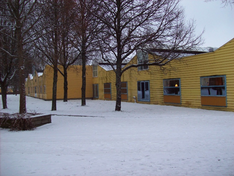 Freddans del